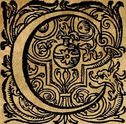 An illustration from Joachimi Camerarii Symbolorvm et emblematvm centvriæ tres. I. Ex herbis & stirpibus. II. Ex animalibus quadrupedibus. III. Ex volatilibus & insectis. Accessit noviter centvria IV. Ex aquatilibus & reptilibus. Cvm figvris æneis, 1605, leaf 199
