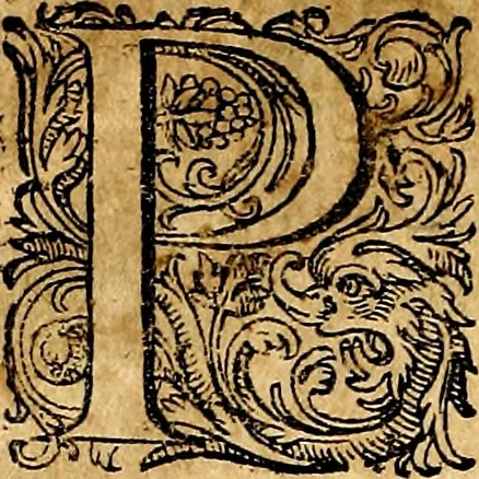 An illustration from Joachimi Camerarii Symbolorvm et emblematvm centvriæ tres. I. Ex herbis & stirpibus. II. Ex animalibus quadrupedibus. III. Ex volatilibus & insectis. Accessit noviter centvria IV. Ex aquatilibus & reptilibus. Cvm figvris æneis, 1605, leaf 205