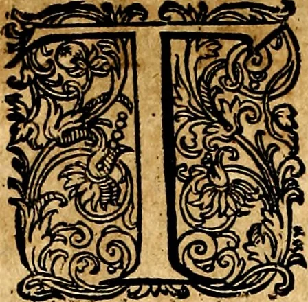 An illustration from Joachimi Camerarii Symbolorvm et emblematvm centvriæ tres. I. Ex herbis & stirpibus. II. Ex animalibus quadrupedibus. III. Ex volatilibus & insectis. Accessit noviter centvria IV. Ex aquatilibus & reptilibus. Cvm figvris æneis, 1605, leaf 207