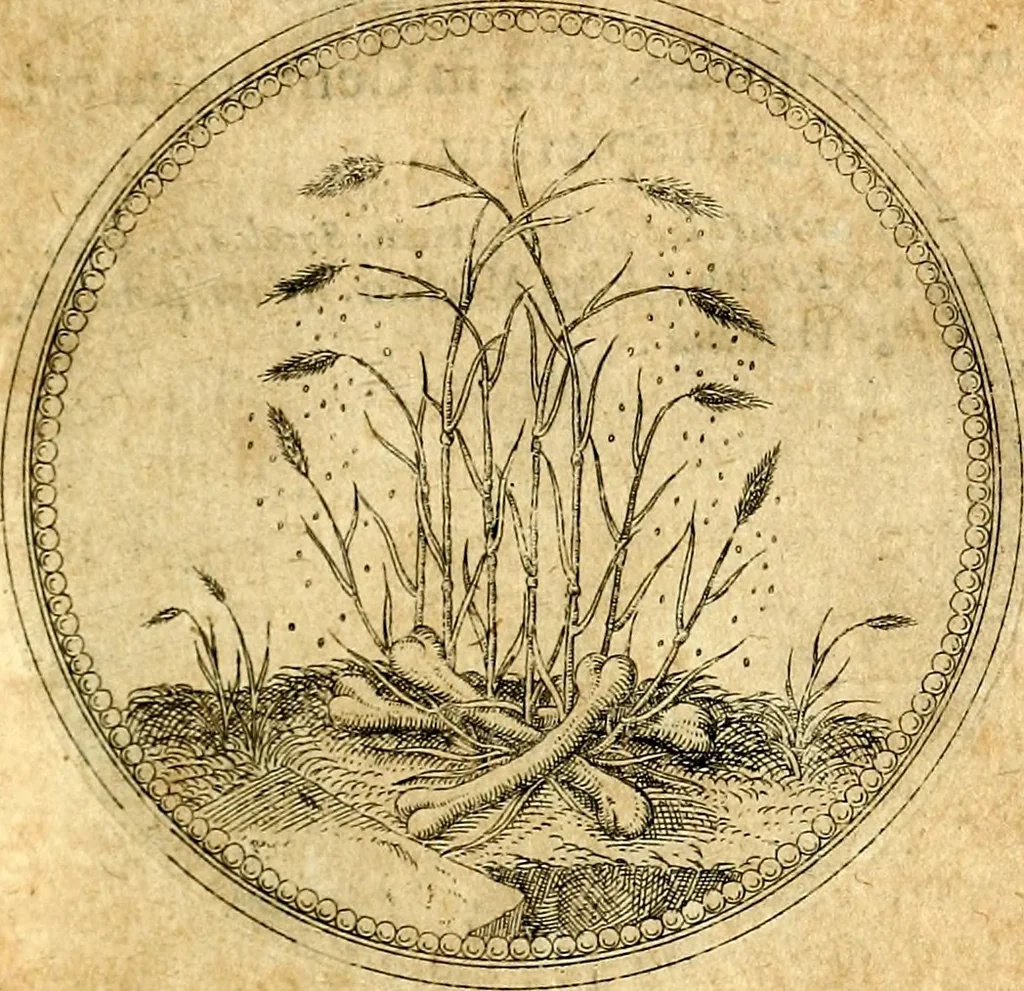 An illustration from Joachimi Camerarii Symbolorvm et emblematvm centvriæ tres. I. Ex herbis & stirpibus. II. Ex animalibus quadrupedibus. III. Ex volatilibus & insectis. Accessit noviter centvria IV. Ex aquatilibus & reptilibus. Cvm figvris æneis, 1605, leaf 210