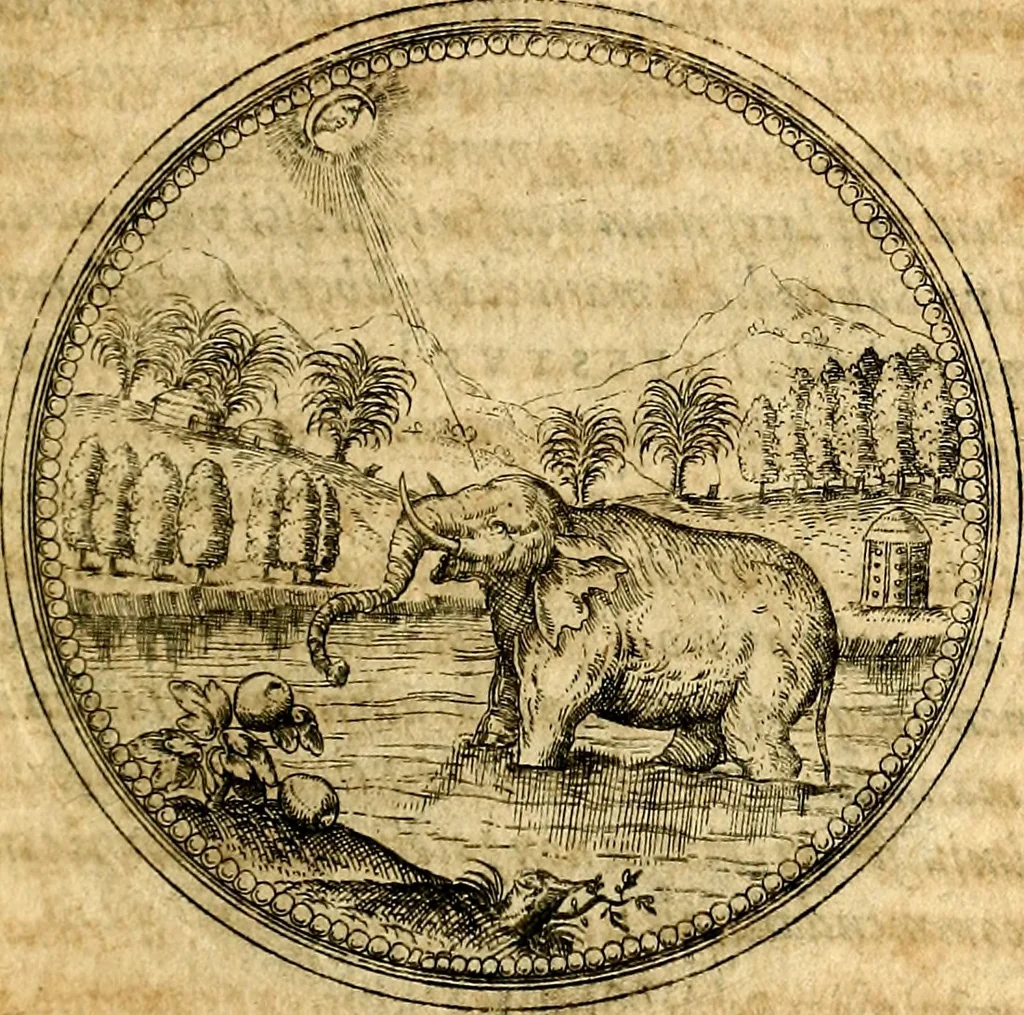 An illustration from Joachimi Camerarii Symbolorvm et emblematvm centvriæ tres. I. Ex herbis & stirpibus. II. Ex animalibus quadrupedibus. III. Ex volatilibus & insectis. Accessit noviter centvria IV. Ex aquatilibus & reptilibus. Cvm figvris æneis, 1605, leaf 216