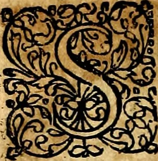 An illustration from Joachimi Camerarii Symbolorvm et emblematvm centvriæ tres. I. Ex herbis & stirpibus. II. Ex animalibus quadrupedibus. III. Ex volatilibus & insectis. Accessit noviter centvria IV. Ex aquatilibus & reptilibus. Cvm figvris æneis, 1605, leaf 217