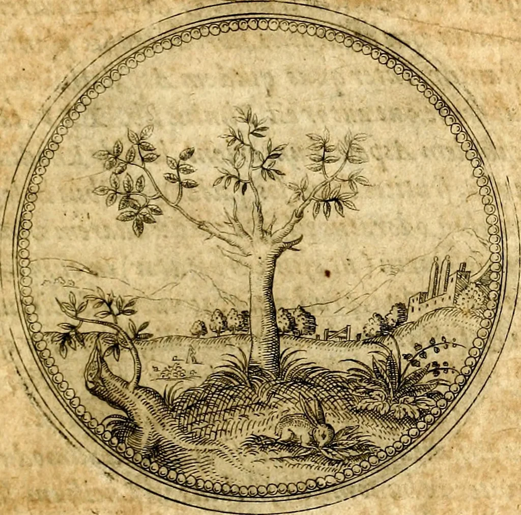 An illustration from Joachimi Camerarii Symbolorvm et emblematvm centvriæ tres. I. Ex herbis & stirpibus. II. Ex animalibus quadrupedibus. III. Ex volatilibus & insectis. Accessit noviter centvria IV. Ex aquatilibus & reptilibus. Cvm figvris æneis, 1605, leaf 22