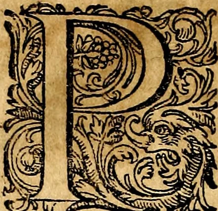 An illustration from Joachimi Camerarii Symbolorvm et emblematvm centvriæ tres. I. Ex herbis & stirpibus. II. Ex animalibus quadrupedibus. III. Ex volatilibus & insectis. Accessit noviter centvria IV. Ex aquatilibus & reptilibus. Cvm figvris æneis, 1605, leaf 225