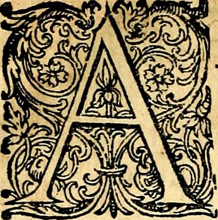 An illustration from Joachimi Camerarii Symbolorvm et emblematvm centvriæ tres. I. Ex herbis & stirpibus. II. Ex animalibus quadrupedibus. III. Ex volatilibus & insectis. Accessit noviter centvria IV. Ex aquatilibus & reptilibus. Cvm figvris æneis, 1605, leaf 229