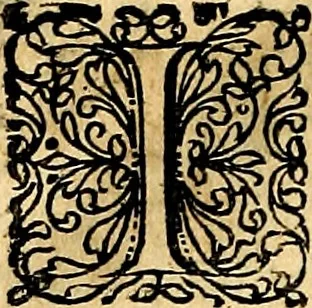An illustration from Joachimi Camerarii Symbolorvm et emblematvm centvriæ tres. I. Ex herbis & stirpibus. II. Ex animalibus quadrupedibus. III. Ex volatilibus & insectis. Accessit noviter centvria IV. Ex aquatilibus & reptilibus. Cvm figvris æneis, 1605, leaf 235