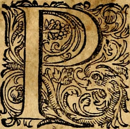 An illustration from Joachimi Camerarii Symbolorvm et emblematvm centvriæ tres. I. Ex herbis & stirpibus. II. Ex animalibus quadrupedibus. III. Ex volatilibus & insectis. Accessit noviter centvria IV. Ex aquatilibus & reptilibus. Cvm figvris æneis, 1605, leaf 239