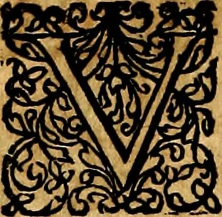 An illustration from Joachimi Camerarii Symbolorvm et emblematvm centvriæ tres. I. Ex herbis & stirpibus. II. Ex animalibus quadrupedibus. III. Ex volatilibus & insectis. Accessit noviter centvria IV. Ex aquatilibus & reptilibus. Cvm figvris æneis, 1605, leaf 241
