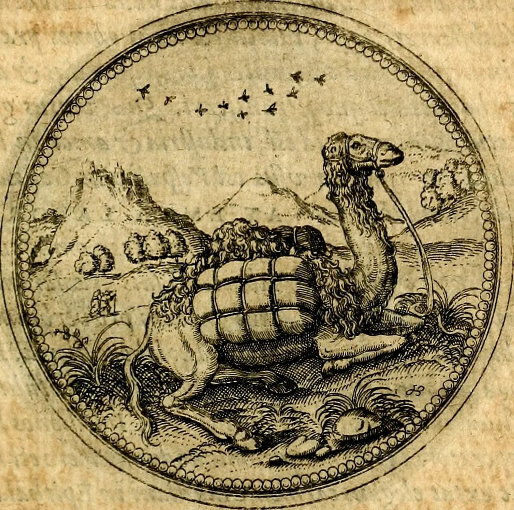 An illustration from Joachimi Camerarii Symbolorvm et emblematvm centvriæ tres. I. Ex herbis & stirpibus. II. Ex animalibus quadrupedibus. III. Ex volatilibus & insectis. Accessit noviter centvria IV. Ex aquatilibus & reptilibus. Cvm figvris æneis, 1605, leaf 246