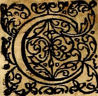 An illustration from Joachimi Camerarii Symbolorvm et emblematvm centvriæ tres. I. Ex herbis & stirpibus. II. Ex animalibus quadrupedibus. III. Ex volatilibus & insectis. Accessit noviter centvria IV. Ex aquatilibus & reptilibus. Cvm figvris æneis, 1605, leaf 249