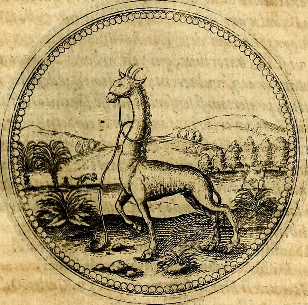 An illustration from Joachimi Camerarii Symbolorvm et emblematvm centvriæ tres. I. Ex herbis & stirpibus. II. Ex animalibus quadrupedibus. III. Ex volatilibus & insectis. Accessit noviter centvria IV. Ex aquatilibus & reptilibus. Cvm figvris æneis, 1605, leaf 250