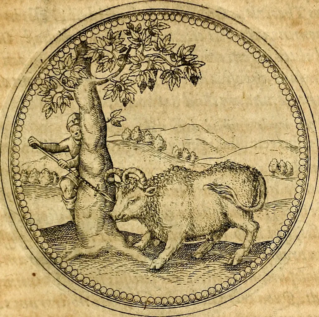 An illustration from Joachimi Camerarii Symbolorvm et emblematvm centvriæ tres. I. Ex herbis & stirpibus. II. Ex animalibus quadrupedibus. III. Ex volatilibus & insectis. Accessit noviter centvria IV. Ex aquatilibus & reptilibus. Cvm figvris æneis, 1605, leaf 252