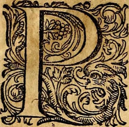 An illustration from Joachimi Camerarii Symbolorvm et emblematvm centvriæ tres. I. Ex herbis & stirpibus. II. Ex animalibus quadrupedibus. III. Ex volatilibus & insectis. Accessit noviter centvria IV. Ex aquatilibus & reptilibus. Cvm figvris æneis, 1605, leaf 255