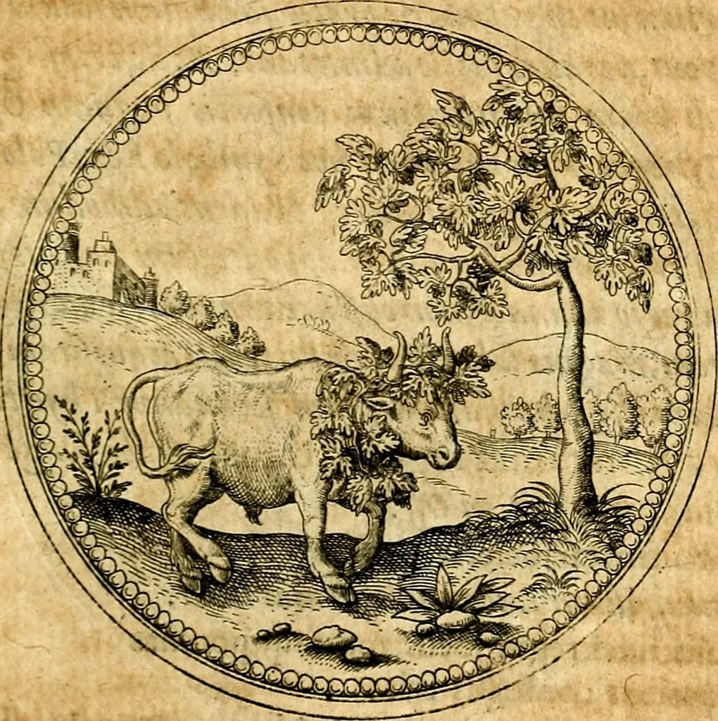 An illustration from Joachimi Camerarii Symbolorvm et emblematvm centvriæ tres. I. Ex herbis & stirpibus. II. Ex animalibus quadrupedibus. III. Ex volatilibus & insectis. Accessit noviter centvria IV. Ex aquatilibus & reptilibus. Cvm figvris æneis, 1605, leaf 266