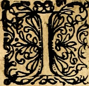 An illustration from Joachimi Camerarii Symbolorvm et emblematvm centvriæ tres. I. Ex herbis & stirpibus. II. Ex animalibus quadrupedibus. III. Ex volatilibus & insectis. Accessit noviter centvria IV. Ex aquatilibus & reptilibus. Cvm figvris æneis, 1605, leaf 273