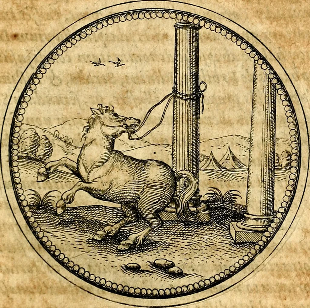 An illustration from Joachimi Camerarii Symbolorvm et emblematvm centvriæ tres. I. Ex herbis & stirpibus. II. Ex animalibus quadrupedibus. III. Ex volatilibus & insectis. Accessit noviter centvria IV. Ex aquatilibus & reptilibus. Cvm figvris æneis, 1605, leaf 276