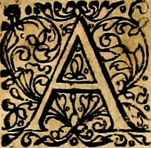 An illustration from Joachimi Camerarii Symbolorvm et emblematvm centvriæ tres. I. Ex herbis & stirpibus. II. Ex animalibus quadrupedibus. III. Ex volatilibus & insectis. Accessit noviter centvria IV. Ex aquatilibus & reptilibus. Cvm figvris æneis, 1605, leaf 289