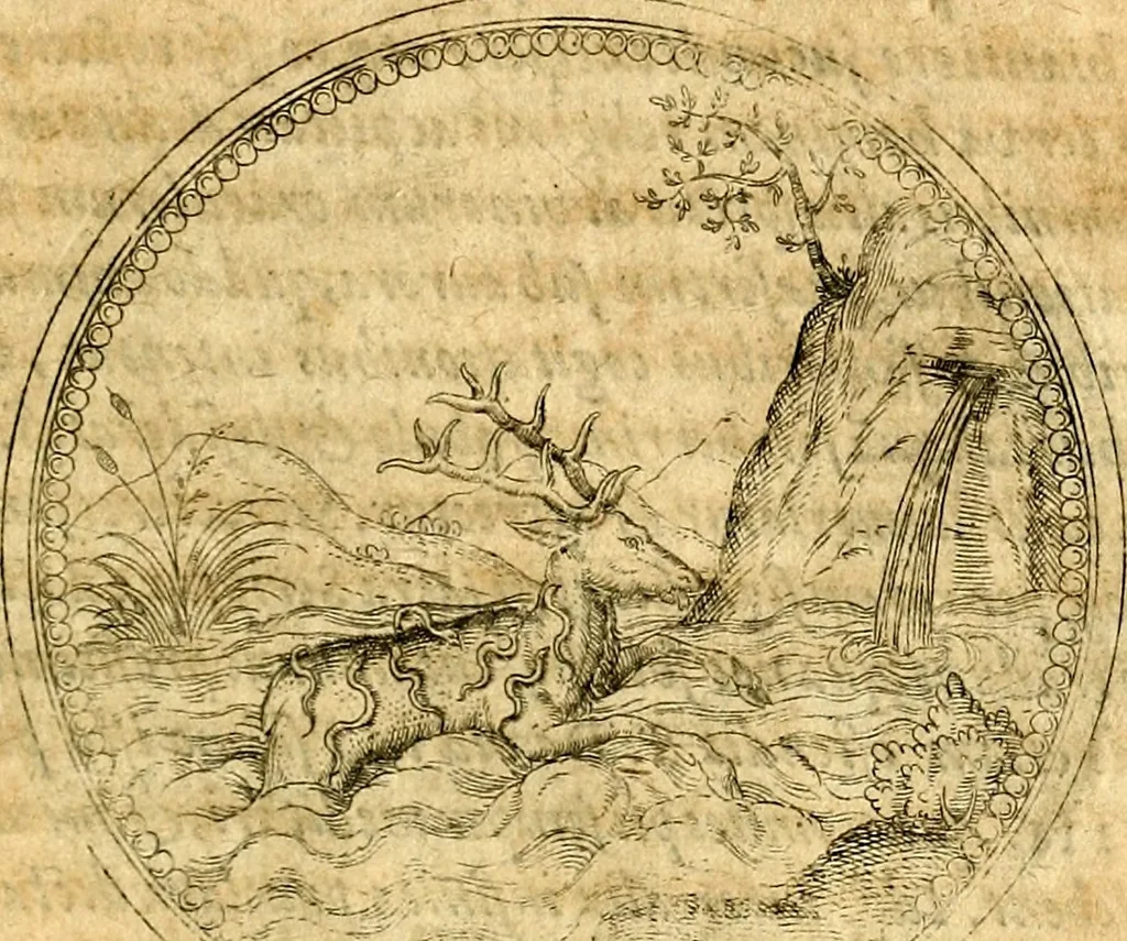 An illustration from Joachimi Camerarii Symbolorvm et emblematvm centvriæ tres. I. Ex herbis & stirpibus. II. Ex animalibus quadrupedibus. III. Ex volatilibus & insectis. Accessit noviter centvria IV. Ex aquatilibus & reptilibus. Cvm figvris æneis, 1605, leaf 298