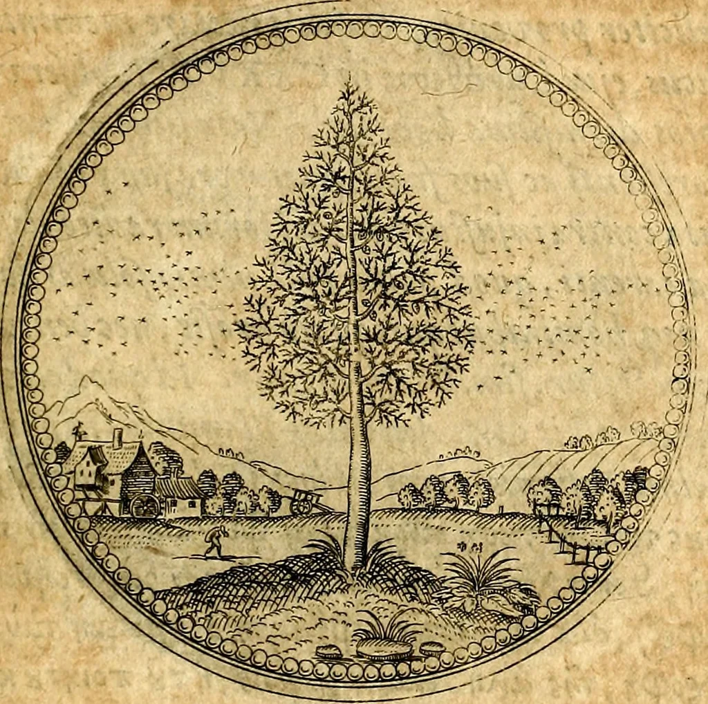 An illustration from Joachimi Camerarii Symbolorvm et emblematvm centvriæ tres. I. Ex herbis & stirpibus. II. Ex animalibus quadrupedibus. III. Ex volatilibus & insectis. Accessit noviter centvria IV. Ex aquatilibus & reptilibus. Cvm figvris æneis, 1605, leaf 30