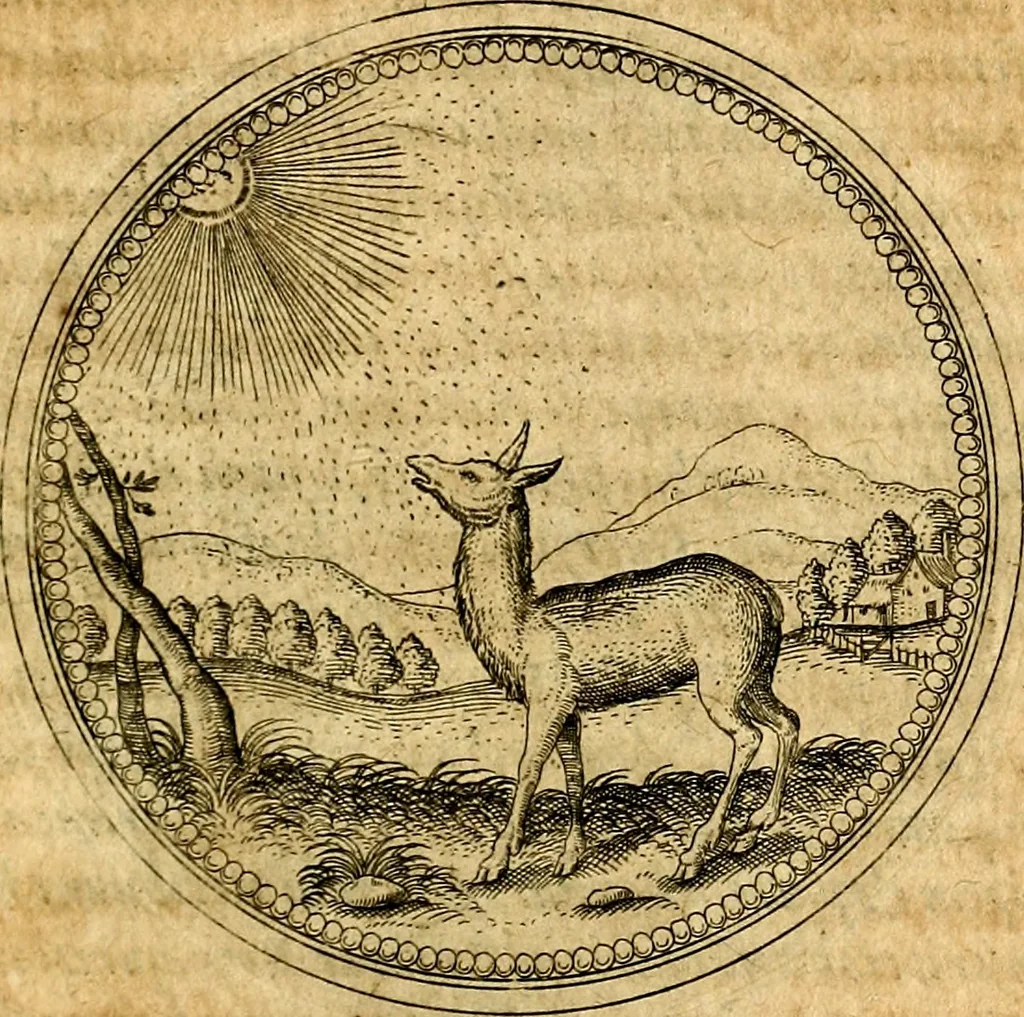 An illustration from Joachimi Camerarii Symbolorvm et emblematvm centvriæ tres. I. Ex herbis & stirpibus. II. Ex animalibus quadrupedibus. III. Ex volatilibus & insectis. Accessit noviter centvria IV. Ex aquatilibus & reptilibus. Cvm figvris æneis, 1605, leaf 300