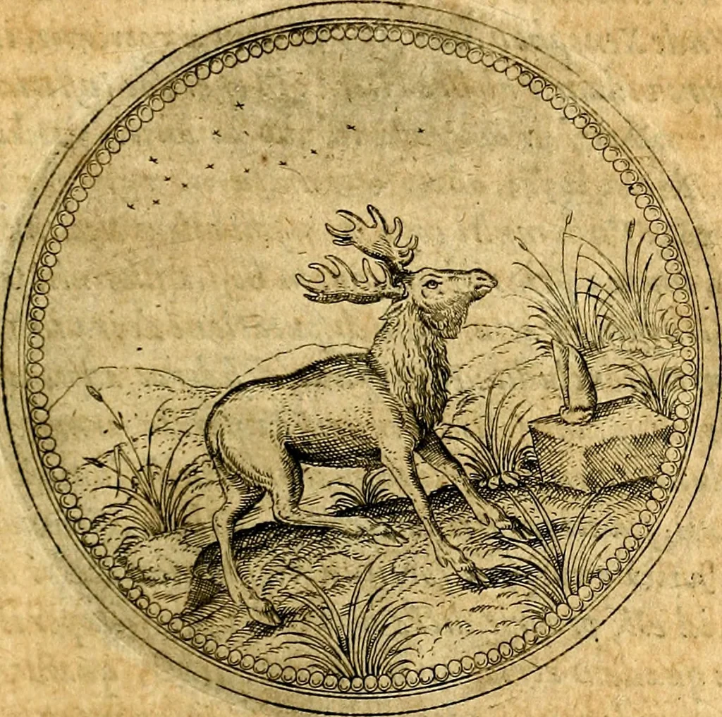 An illustration from Joachimi Camerarii Symbolorvm et emblematvm centvriæ tres. I. Ex herbis & stirpibus. II. Ex animalibus quadrupedibus. III. Ex volatilibus & insectis. Accessit noviter centvria IV. Ex aquatilibus & reptilibus. Cvm figvris æneis, 1605, leaf 306