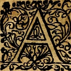 An illustration from Joachimi Camerarii Symbolorvm et emblematvm centvriæ tres. I. Ex herbis & stirpibus. II. Ex animalibus quadrupedibus. III. Ex volatilibus & insectis. Accessit noviter centvria IV. Ex aquatilibus & reptilibus. Cvm figvris æneis, 1605, leaf 307