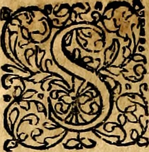 An illustration from Joachimi Camerarii Symbolorvm et emblematvm centvriæ tres. I. Ex herbis & stirpibus. II. Ex animalibus quadrupedibus. III. Ex volatilibus & insectis. Accessit noviter centvria IV. Ex aquatilibus & reptilibus. Cvm figvris æneis, 1605, leaf 309
