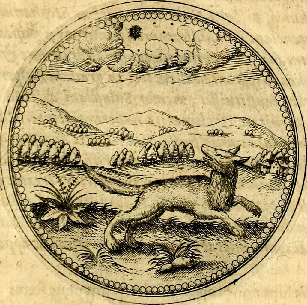 An illustration from Joachimi Camerarii Symbolorvm et emblematvm centvriæ tres. I. Ex herbis & stirpibus. II. Ex animalibus quadrupedibus. III. Ex volatilibus & insectis. Accessit noviter centvria IV. Ex aquatilibus & reptilibus. Cvm figvris æneis, 1605, leaf 314