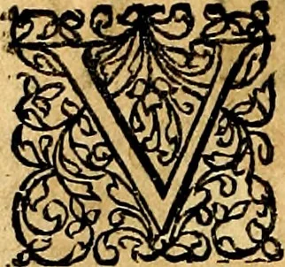An illustration from Joachimi Camerarii Symbolorvm et emblematvm centvriæ tres. I. Ex herbis & stirpibus. II. Ex animalibus quadrupedibus. III. Ex volatilibus & insectis. Accessit noviter centvria IV. Ex aquatilibus & reptilibus. Cvm figvris æneis, 1605, leaf 321