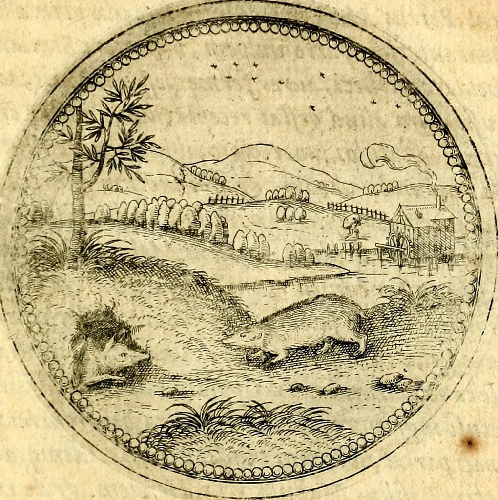 An illustration from Joachimi Camerarii Symbolorvm et emblematvm centvriæ tres. I. Ex herbis & stirpibus. II. Ex animalibus quadrupedibus. III. Ex volatilibus & insectis. Accessit noviter centvria IV. Ex aquatilibus & reptilibus. Cvm figvris æneis, 1605, leaf 326