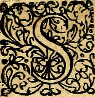 An illustration from Joachimi Camerarii Symbolorvm et emblematvm centvriæ tres. I. Ex herbis & stirpibus. II. Ex animalibus quadrupedibus. III. Ex volatilibus & insectis. Accessit noviter centvria IV. Ex aquatilibus & reptilibus. Cvm figvris æneis, 1605, leaf 327