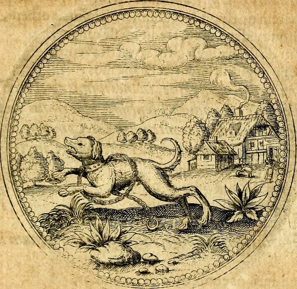 An illustration from Joachimi Camerarii Symbolorvm et emblematvm centvriæ tres. I. Ex herbis & stirpibus. II. Ex animalibus quadrupedibus. III. Ex volatilibus & insectis. Accessit noviter centvria IV. Ex aquatilibus & reptilibus. Cvm figvris æneis, 1605, leaf 332