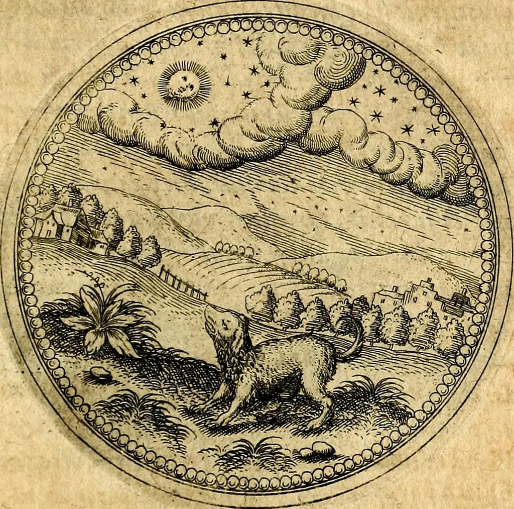 An illustration from Joachimi Camerarii Symbolorvm et emblematvm centvriæ tres. I. Ex herbis & stirpibus. II. Ex animalibus quadrupedibus. III. Ex volatilibus & insectis. Accessit noviter centvria IV. Ex aquatilibus & reptilibus. Cvm figvris æneis, 1605, leaf 334