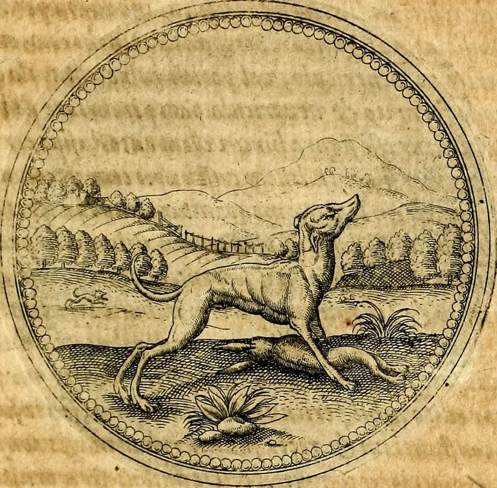 An illustration from Joachimi Camerarii Symbolorvm et emblematvm centvriæ tres. I. Ex herbis & stirpibus. II. Ex animalibus quadrupedibus. III. Ex volatilibus & insectis. Accessit noviter centvria IV. Ex aquatilibus & reptilibus. Cvm figvris æneis, 1605, leaf 338