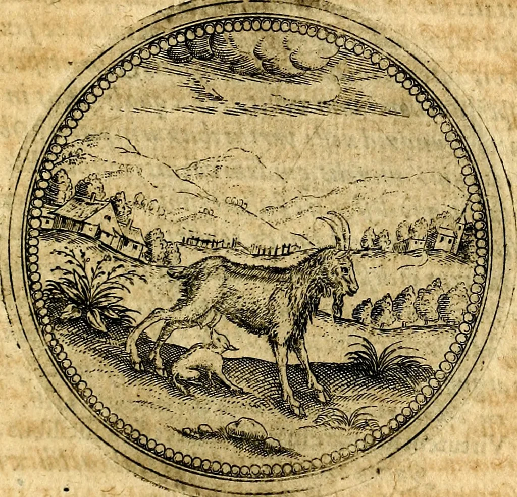 An illustration from Joachimi Camerarii Symbolorvm et emblematvm centvriæ tres. I. Ex herbis & stirpibus. II. Ex animalibus quadrupedibus. III. Ex volatilibus & insectis. Accessit noviter centvria IV. Ex aquatilibus & reptilibus. Cvm figvris æneis, 1605, leaf 342
