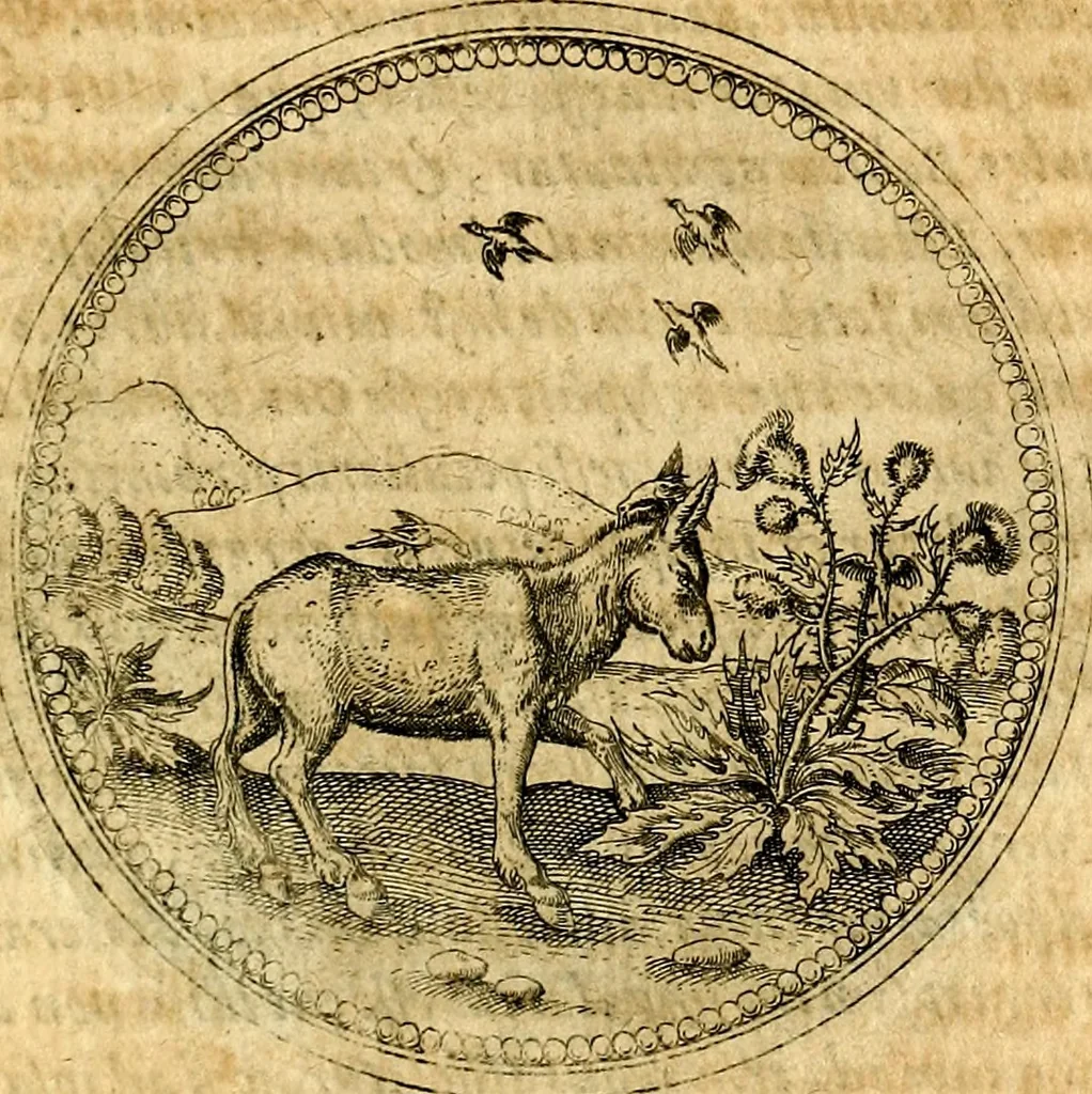 An illustration from Joachimi Camerarii Symbolorvm et emblematvm centvriæ tres. I. Ex herbis & stirpibus. II. Ex animalibus quadrupedibus. III. Ex volatilibus & insectis. Accessit noviter centvria IV. Ex aquatilibus & reptilibus. Cvm figvris æneis, 1605, leaf 358