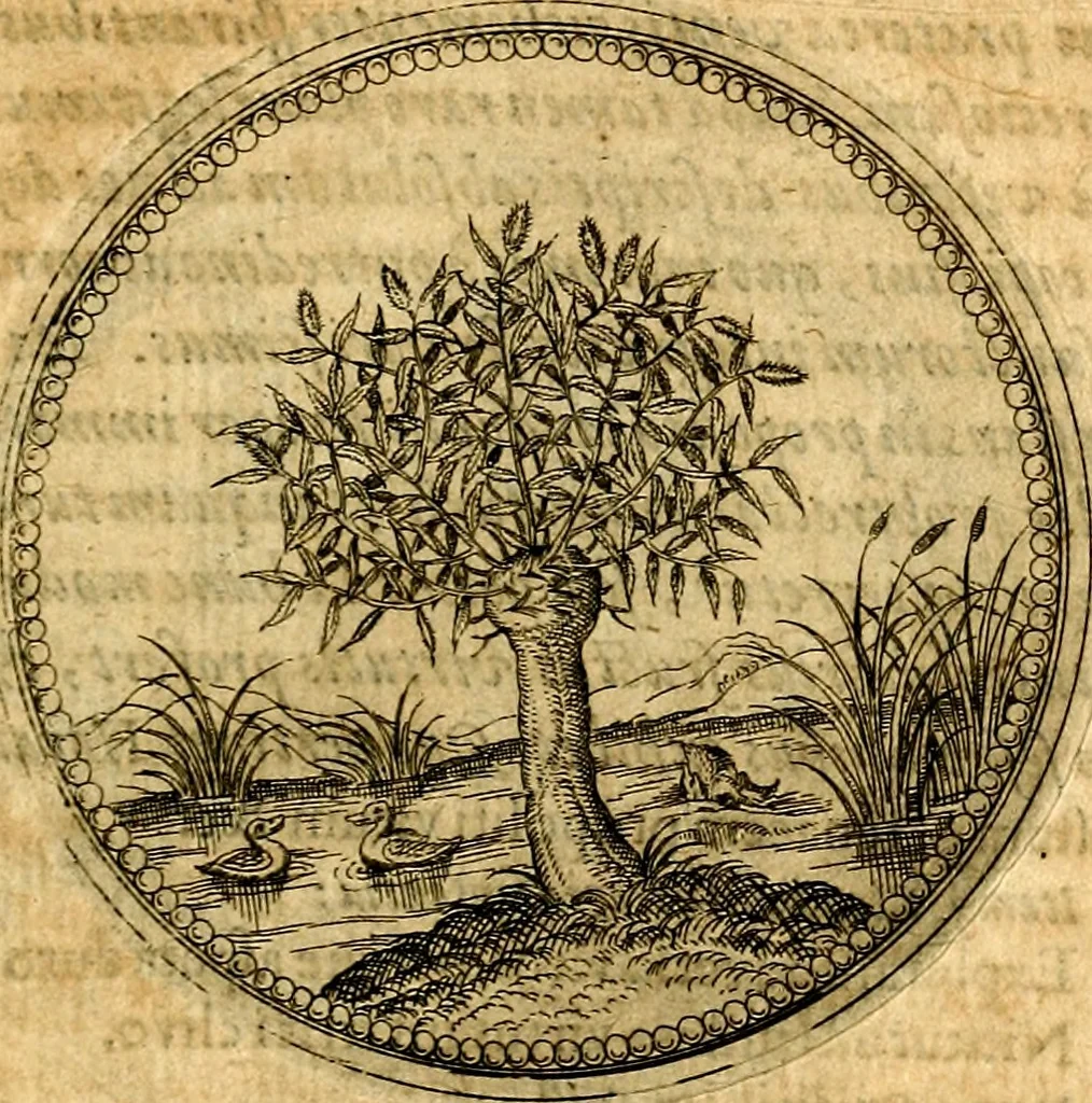 An illustration from Joachimi Camerarii Symbolorvm et emblematvm centvriæ tres. I. Ex herbis & stirpibus. II. Ex animalibus quadrupedibus. III. Ex volatilibus & insectis. Accessit noviter centvria IV. Ex aquatilibus & reptilibus. Cvm figvris æneis, 1605, leaf 36