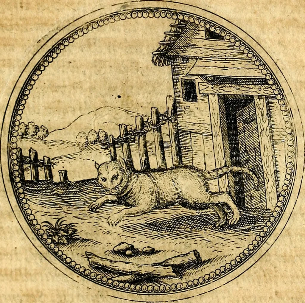 An illustration from Joachimi Camerarii Symbolorvm et emblematvm centvriæ tres. I. Ex herbis & stirpibus. II. Ex animalibus quadrupedibus. III. Ex volatilibus & insectis. Accessit noviter centvria IV. Ex aquatilibus & reptilibus. Cvm figvris æneis, 1605, leaf 364