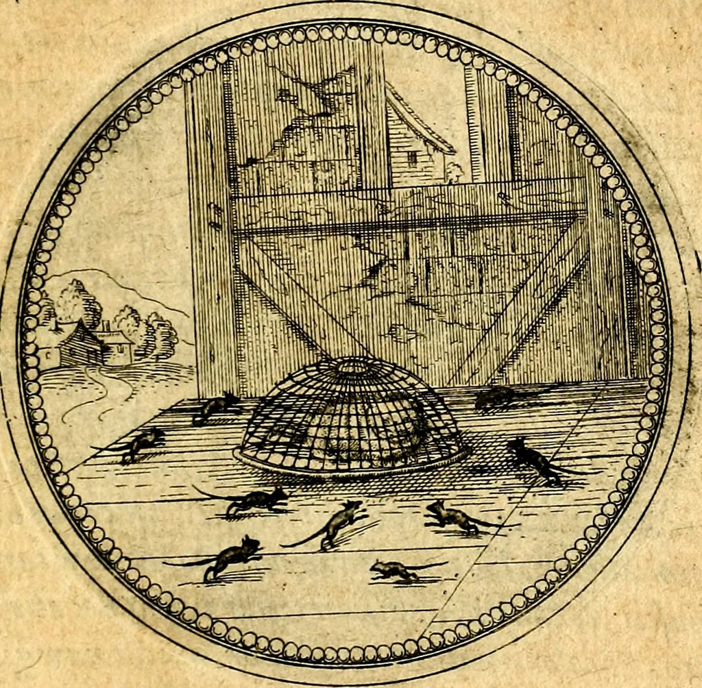 An illustration from Joachimi Camerarii Symbolorvm et emblematvm centvriæ tres. I. Ex herbis & stirpibus. II. Ex animalibus quadrupedibus. III. Ex volatilibus & insectis. Accessit noviter centvria IV. Ex aquatilibus & reptilibus. Cvm figvris æneis, 1605, leaf 386