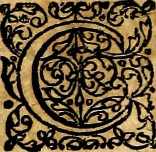 An illustration from Joachimi Camerarii Symbolorvm et emblematvm centvriæ tres. I. Ex herbis & stirpibus. II. Ex animalibus quadrupedibus. III. Ex volatilibus & insectis. Accessit noviter centvria IV. Ex aquatilibus & reptilibus. Cvm figvris æneis, 1605, leaf 399