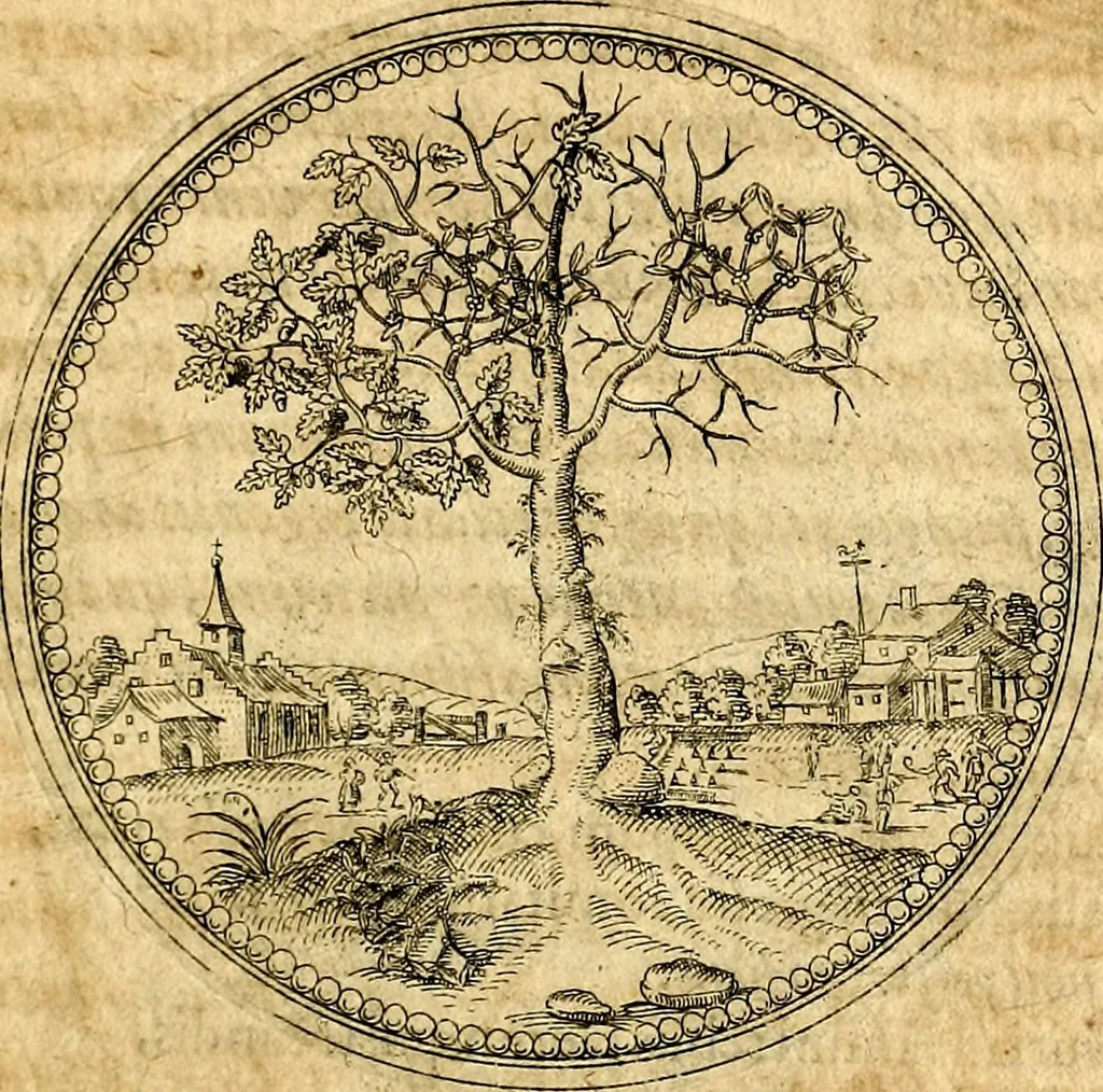 An illustration from Joachimi Camerarii Symbolorvm et emblematvm centvriæ tres. I. Ex herbis & stirpibus. II. Ex animalibus quadrupedibus. III. Ex volatilibus & insectis. Accessit noviter centvria IV. Ex aquatilibus & reptilibus. Cvm figvris æneis, 1605, leaf 40