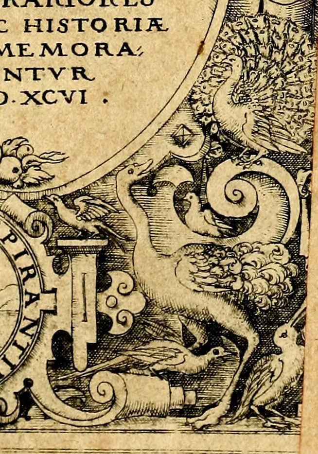 An illustration from Joachimi Camerarii Symbolorvm et emblematvm centvriæ tres. I. Ex herbis & stirpibus. II. Ex animalibus quadrupedibus. III. Ex volatilibus & insectis. Accessit noviter centvria IV. Ex aquatilibus & reptilibus. Cvm figvris æneis, 1605, leaf 414