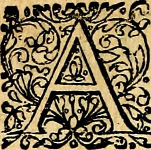 An illustration from Joachimi Camerarii Symbolorvm et emblematvm centvriæ tres. I. Ex herbis & stirpibus. II. Ex animalibus quadrupedibus. III. Ex volatilibus & insectis. Accessit noviter centvria IV. Ex aquatilibus & reptilibus. Cvm figvris æneis, 1605, leaf 423