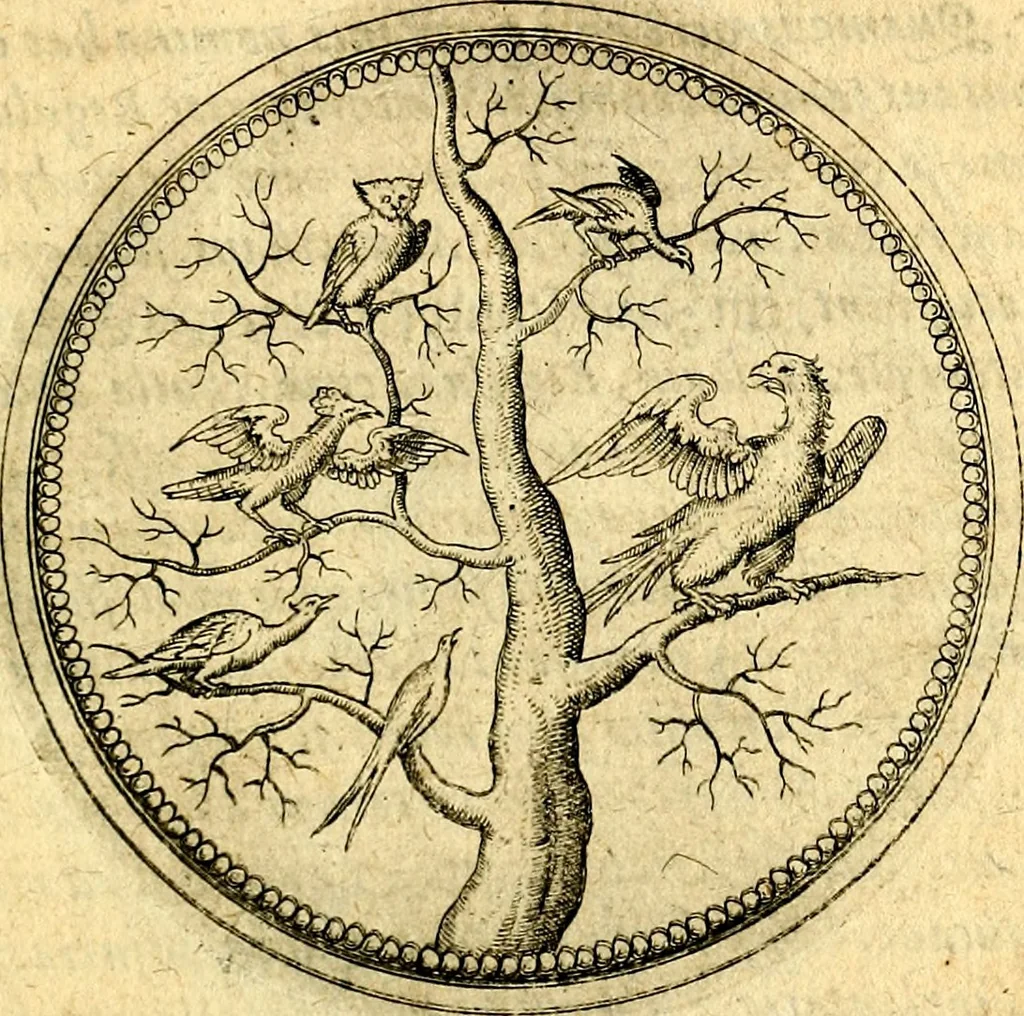 An illustration from Joachimi Camerarii Symbolorvm et emblematvm centvriæ tres. I. Ex herbis & stirpibus. II. Ex animalibus quadrupedibus. III. Ex volatilibus & insectis. Accessit noviter centvria IV. Ex aquatilibus & reptilibus. Cvm figvris æneis, 1605, leaf 426