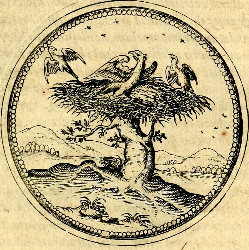 An illustration from Joachimi Camerarii Symbolorvm et emblematvm centvriæ tres. I. Ex herbis & stirpibus. II. Ex animalibus quadrupedibus. III. Ex volatilibus & insectis. Accessit noviter centvria IV. Ex aquatilibus & reptilibus. Cvm figvris æneis, 1605, leaf 438