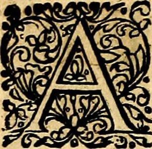 An illustration from Joachimi Camerarii Symbolorvm et emblematvm centvriæ tres. I. Ex herbis & stirpibus. II. Ex animalibus quadrupedibus. III. Ex volatilibus & insectis. Accessit noviter centvria IV. Ex aquatilibus & reptilibus. Cvm figvris æneis, 1605, leaf 441