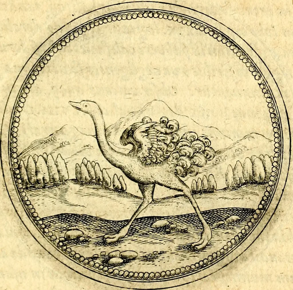 An illustration from Joachimi Camerarii Symbolorvm et emblematvm centvriæ tres. I. Ex herbis & stirpibus. II. Ex animalibus quadrupedibus. III. Ex volatilibus & insectis. Accessit noviter centvria IV. Ex aquatilibus & reptilibus. Cvm figvris æneis, 1605, leaf 450