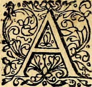 An illustration from Joachimi Camerarii Symbolorvm et emblematvm centvriæ tres. I. Ex herbis & stirpibus. II. Ex animalibus quadrupedibus. III. Ex volatilibus & insectis. Accessit noviter centvria IV. Ex aquatilibus & reptilibus. Cvm figvris æneis, 1605, leaf 467