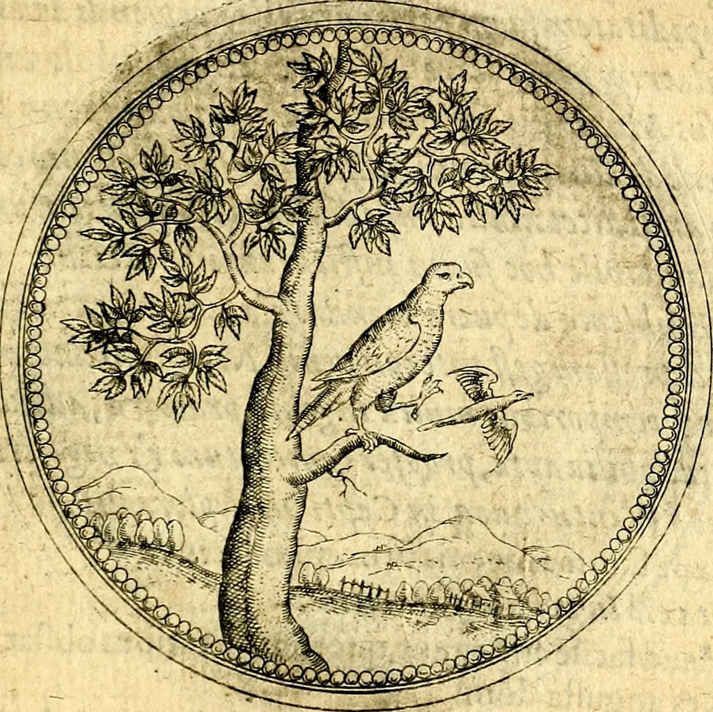 An illustration from Joachimi Camerarii Symbolorvm et emblematvm centvriæ tres. I. Ex herbis & stirpibus. II. Ex animalibus quadrupedibus. III. Ex volatilibus & insectis. Accessit noviter centvria IV. Ex aquatilibus & reptilibus. Cvm figvris æneis, 1605, leaf 476
