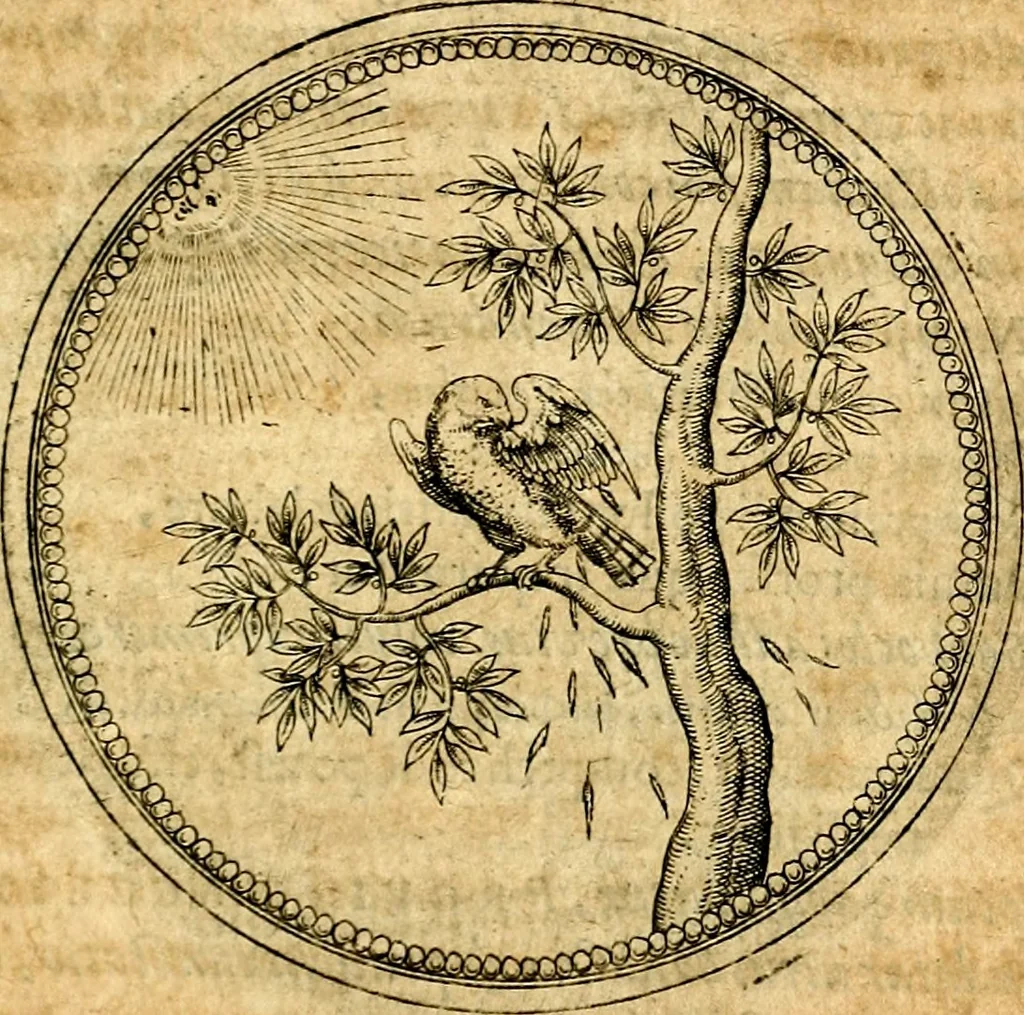 An illustration from Joachimi Camerarii Symbolorvm et emblematvm centvriæ tres. I. Ex herbis & stirpibus. II. Ex animalibus quadrupedibus. III. Ex volatilibus & insectis. Accessit noviter centvria IV. Ex aquatilibus & reptilibus. Cvm figvris æneis, 1605, leaf 484